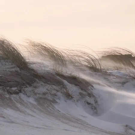 Haus Windrose App 25b *